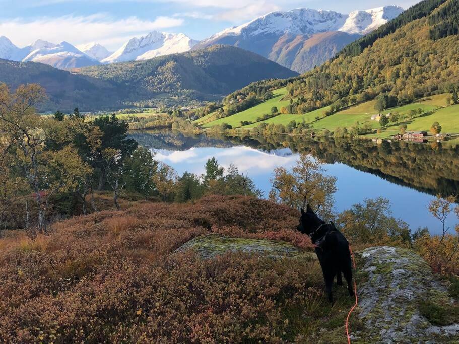 Appartamento Minihus Med Drommeutsikt Til Sunnmorsalpene Aure  Esterno foto